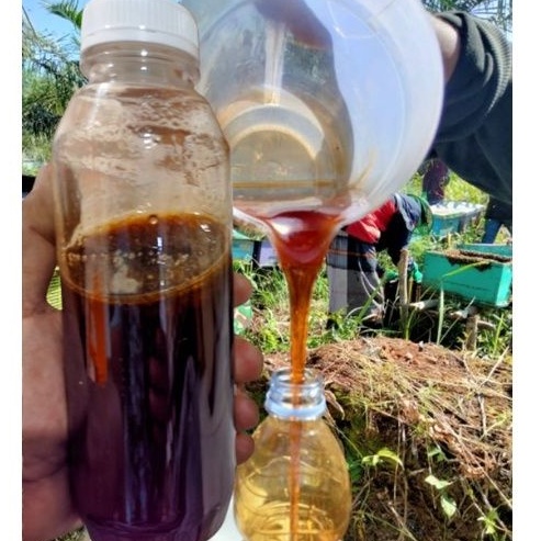 

Madu murni Madu Asli Riau 500gr BERGARANSI