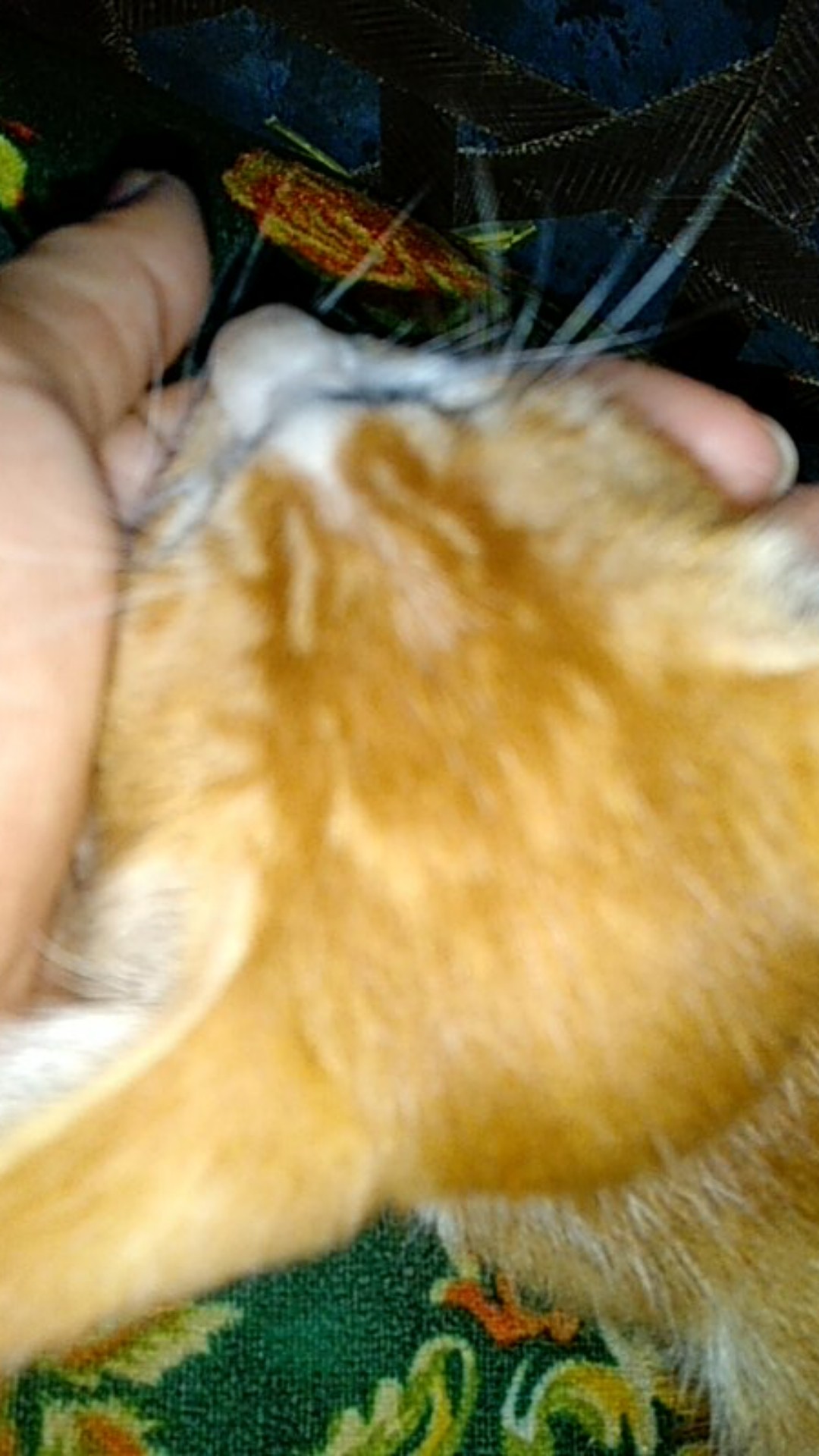 Kemeja Batik Cibulan Warna Pink Kombinasi Hitam