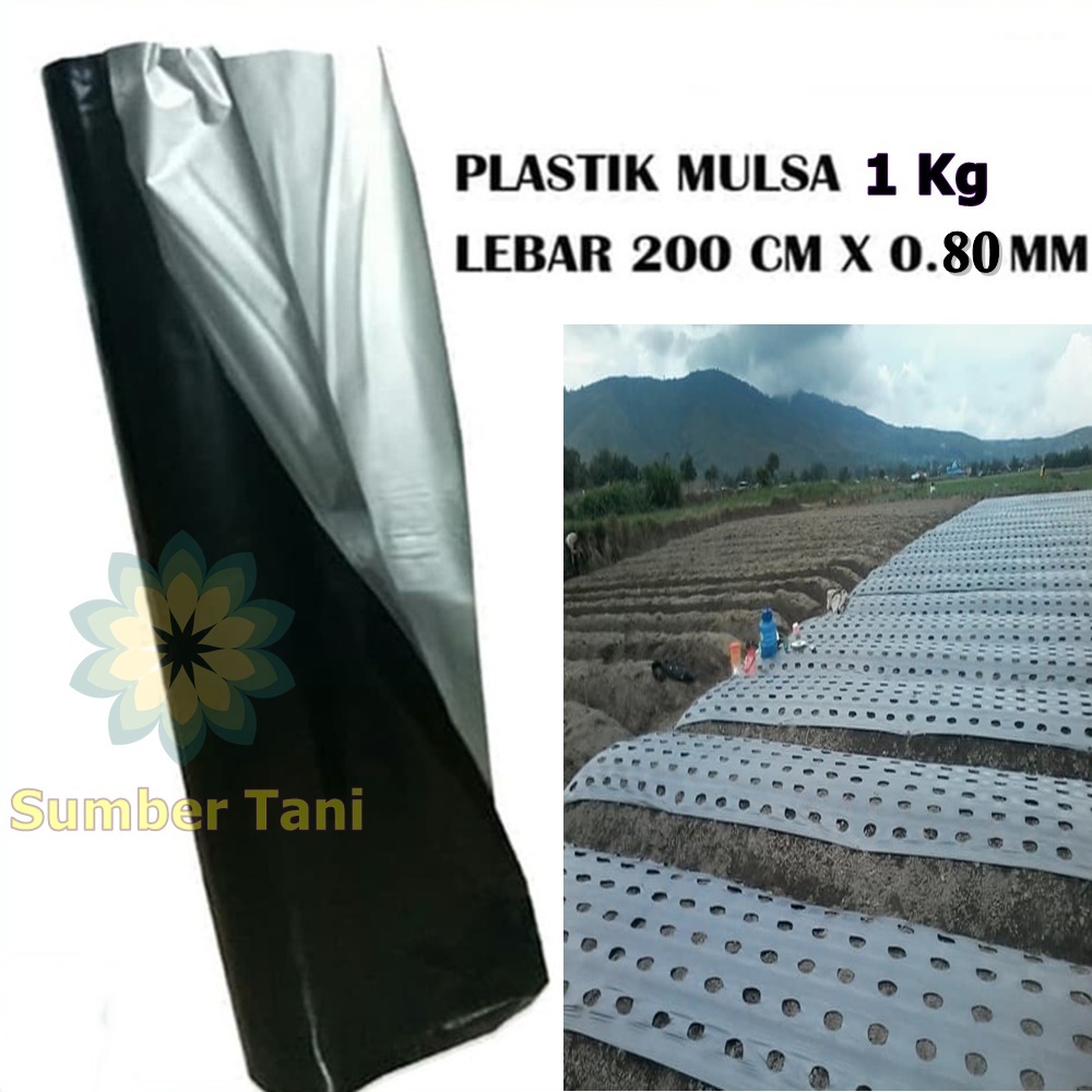 Plastik Mulsa 200 Cm Tebal 0.80 mm Mulsa Hitam Perak