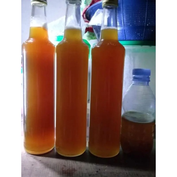 

Madu Trigona ASLI 100% | Madu original yang diambil dari sarangnya langsung
