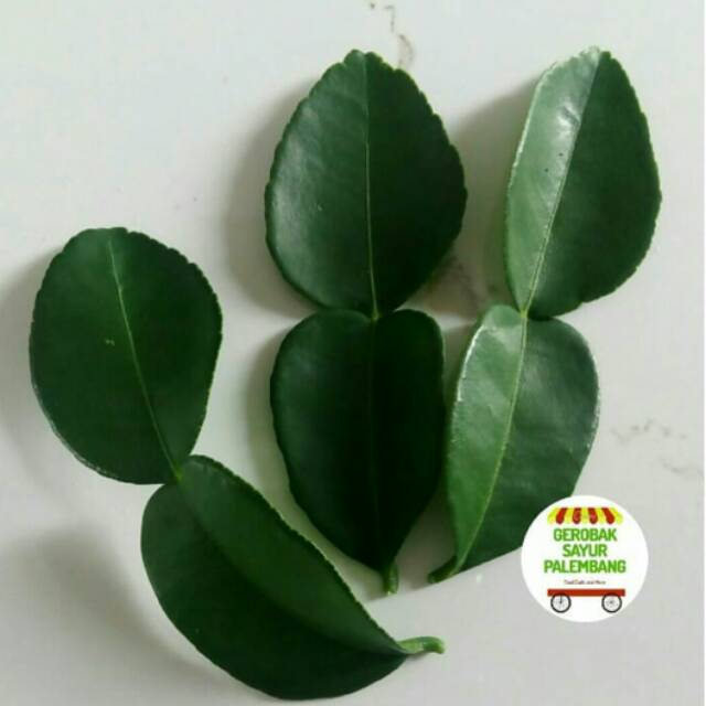

Daun Jeruk Purut Segar - Gerobak Sayur Palembang