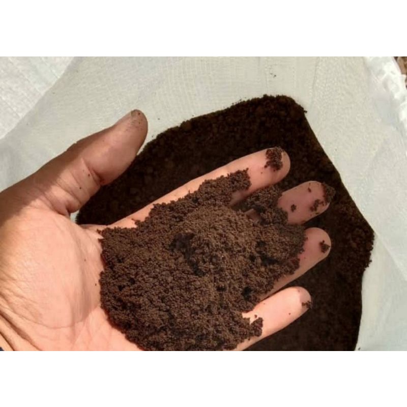 kohe kambing halus fermentasi