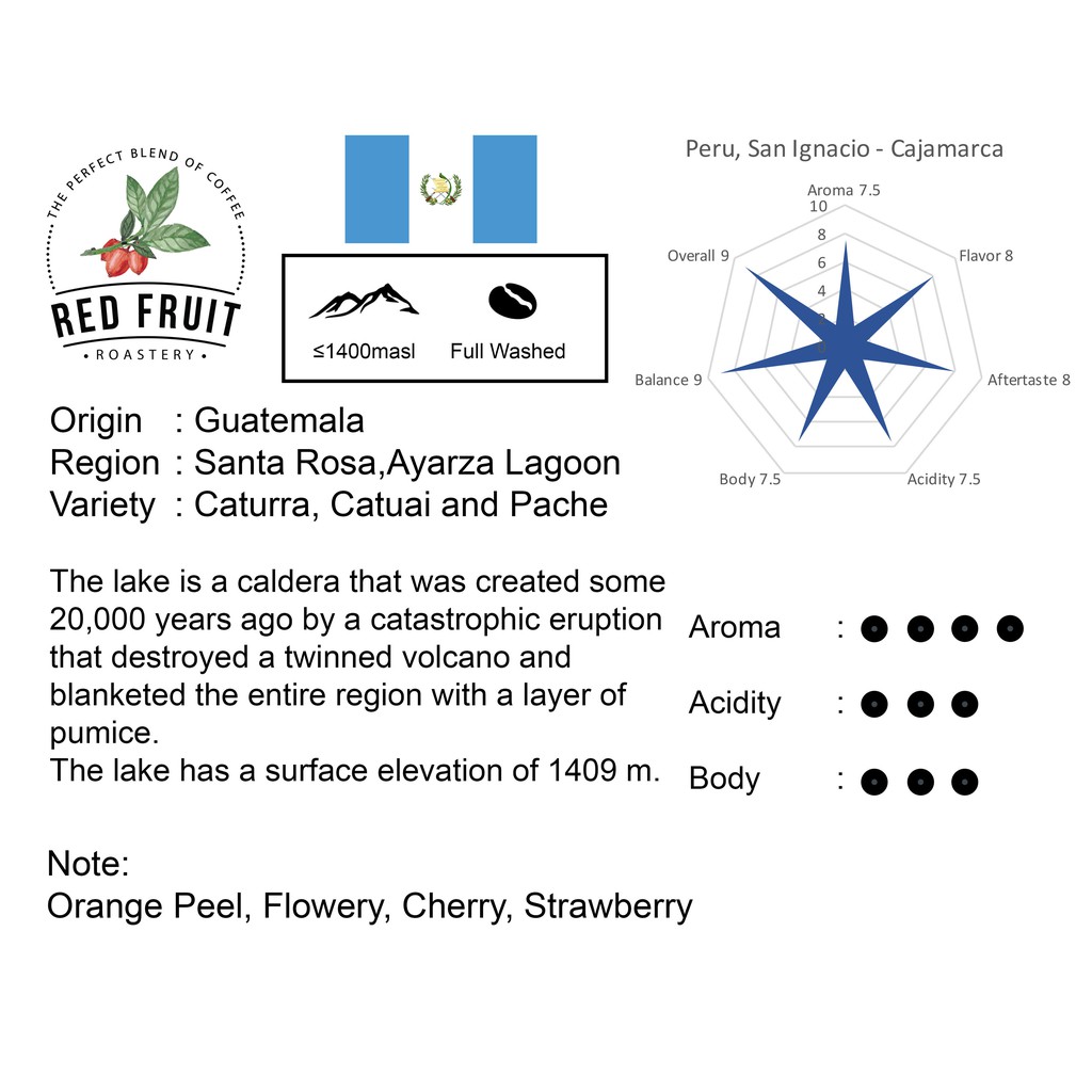 

Guatemala Arabica Coffee Full Washed Process 200g