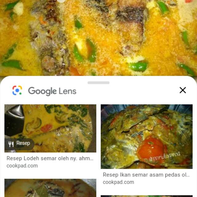 Daging Ikan Semar Jumbo Shopee Indonesia