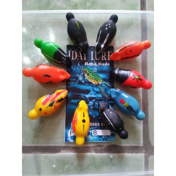 cangkang soft frog geol