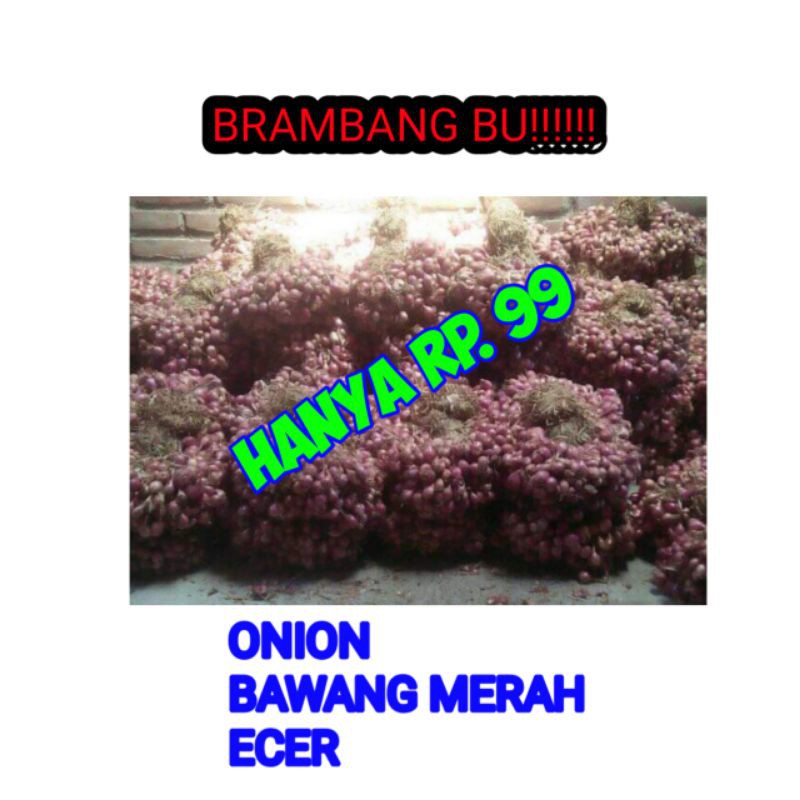 

Onion Bawang Merah ecer