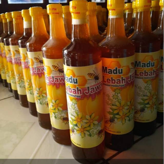 

Madu Multiflora Lebah Jawa