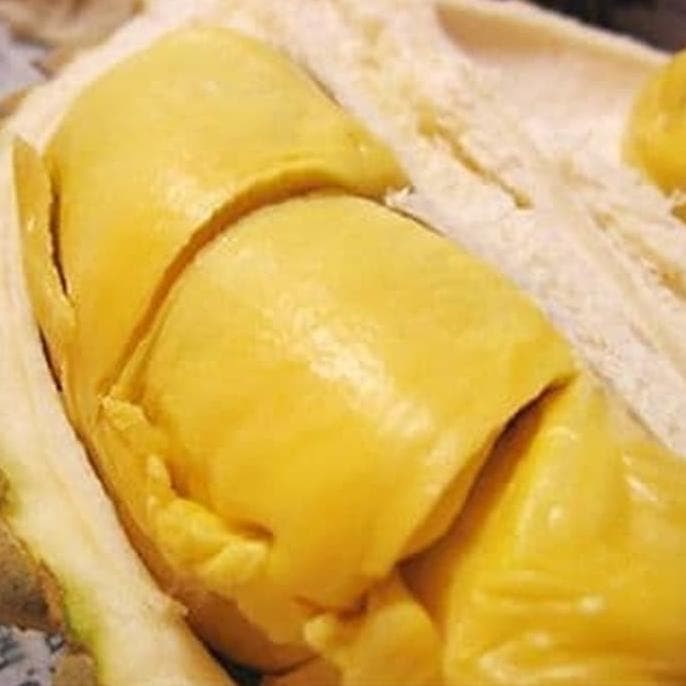 

Qampung Durian Montong Duren Kupas Monthong 500Gram Daging Tebal Legit Manis ASLI GUNUNGPATI
