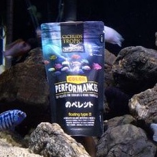 [PAKAN CICHLID] Pelet Ikan WATERPROS Pump Performance 75 gram