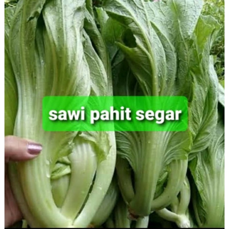 

sawi pahit segar 1kg