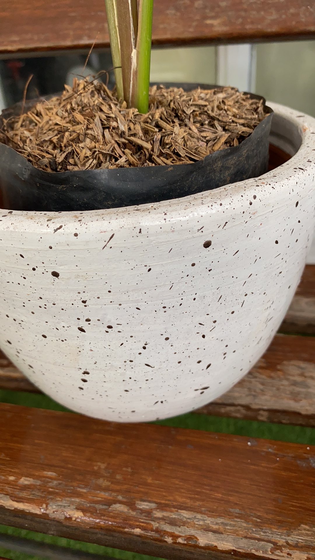 Pot Putih Corak, Pot Hitam Corak, Pot Motif, Pot Bintik, Pot Putih Dan Hitam, Pot Gerabah