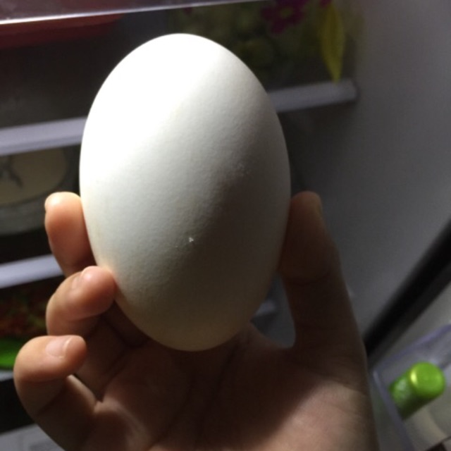 

Telur angsa fresh super
