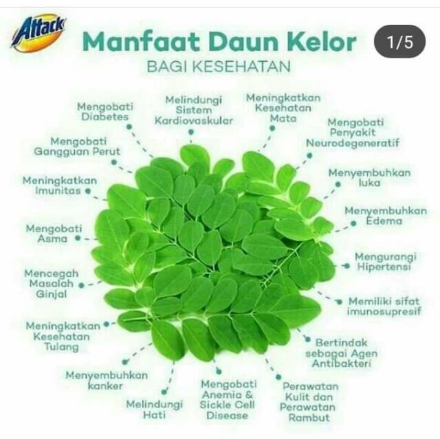 Serbuk daun kelor 100 gram / bubuk daun kelor / Kelor