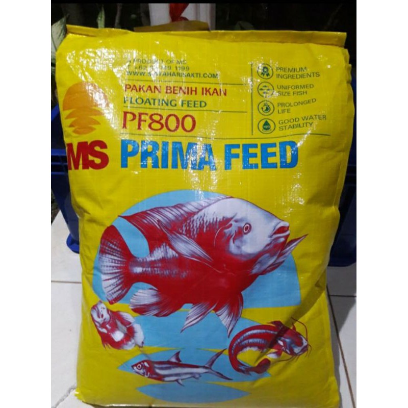 Pakan Makanan Benih Bibit Ikan Lele Nila Gurame Hias Pelet PF 800 Sak 10 kg