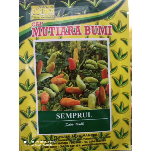 BENIH CABE RAWIT SEMPRUL CAP MUTIARA BUMI 10 GR