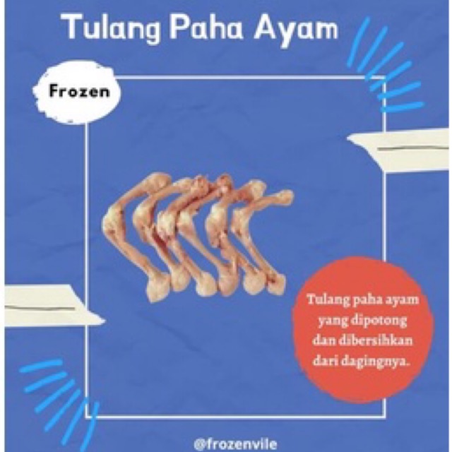 

Tulang Paha Ayam
