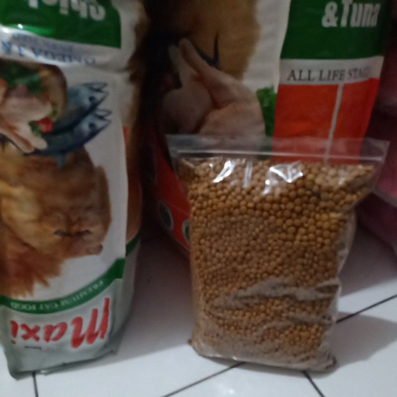 Maxi chicken &amp; tuna makanan kucing kitten &amp; adult 1kg