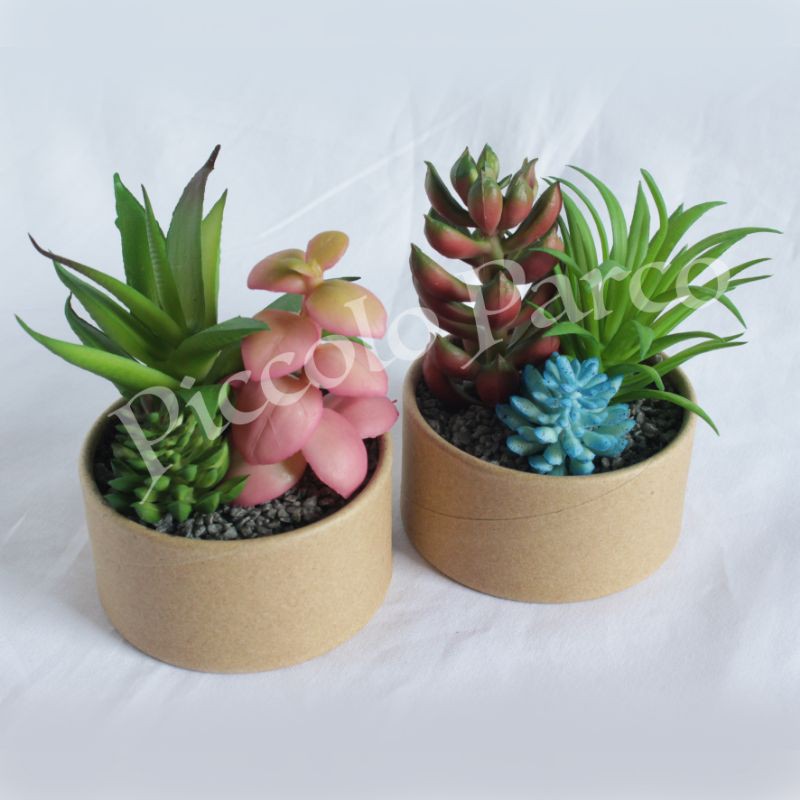 Artificial Kaktus Succulent Mini Pot Bundar(Circles) Imitasi/Palsu