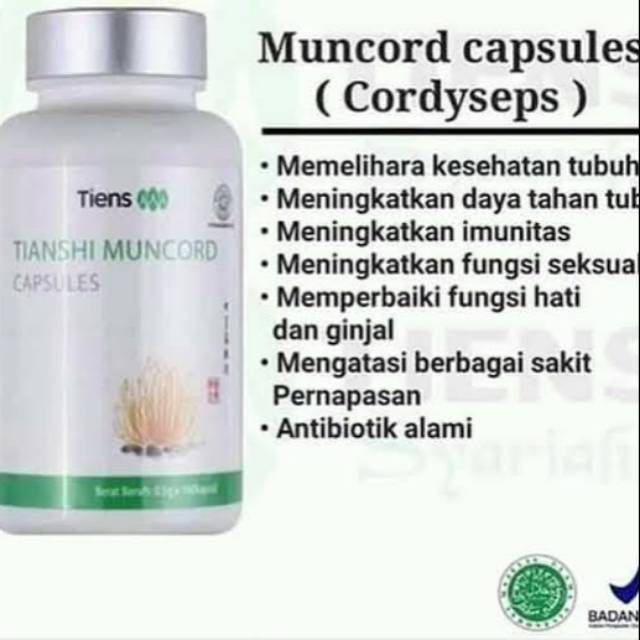 MUNCORD TIENS PAKET VOLCANO