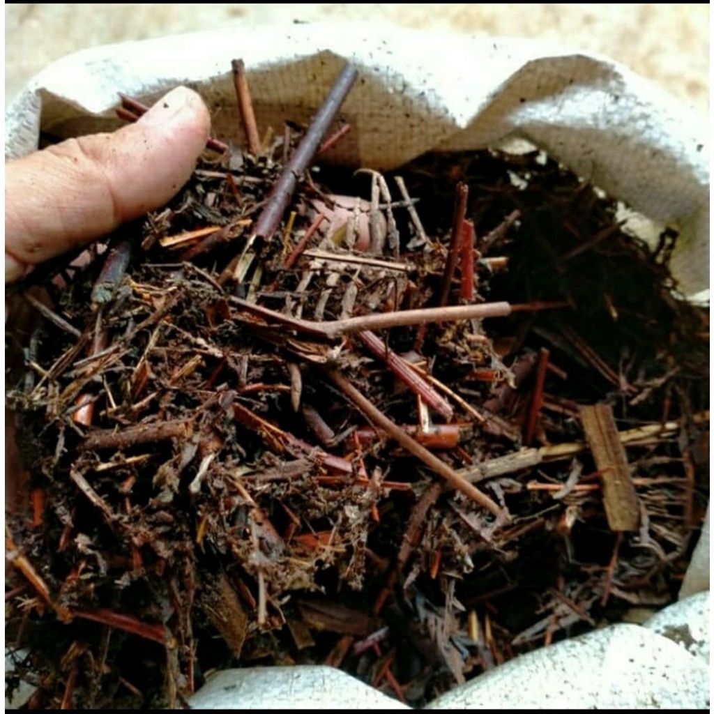 Media Tanam Andam / media tanam pakis andam 1KG