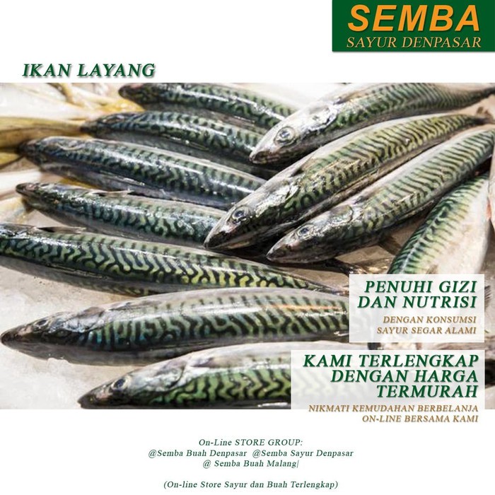 

IKAN LAYANG 1KG seafood DENPASAR BALI sayuran sembako bumbu lauk food bahan makanan murah fresh