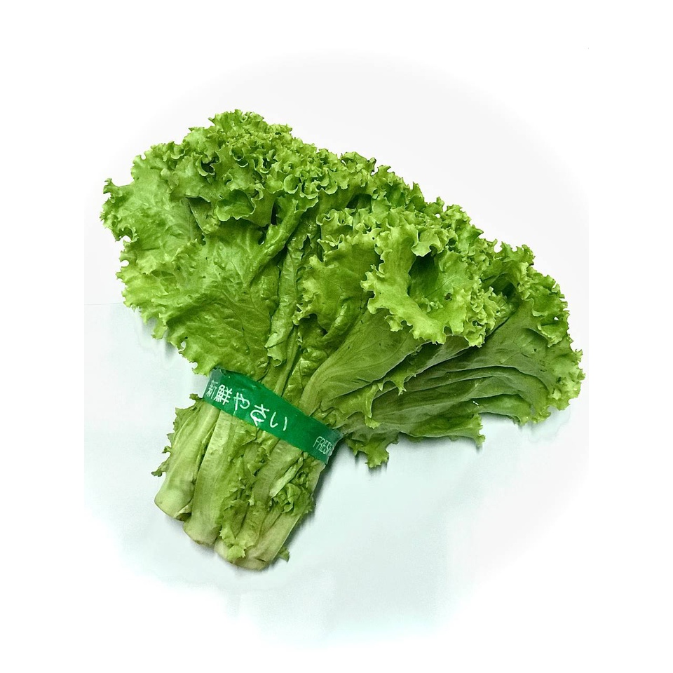 

My Fruit Vege Surabaya - Selada Keriting [200gr]