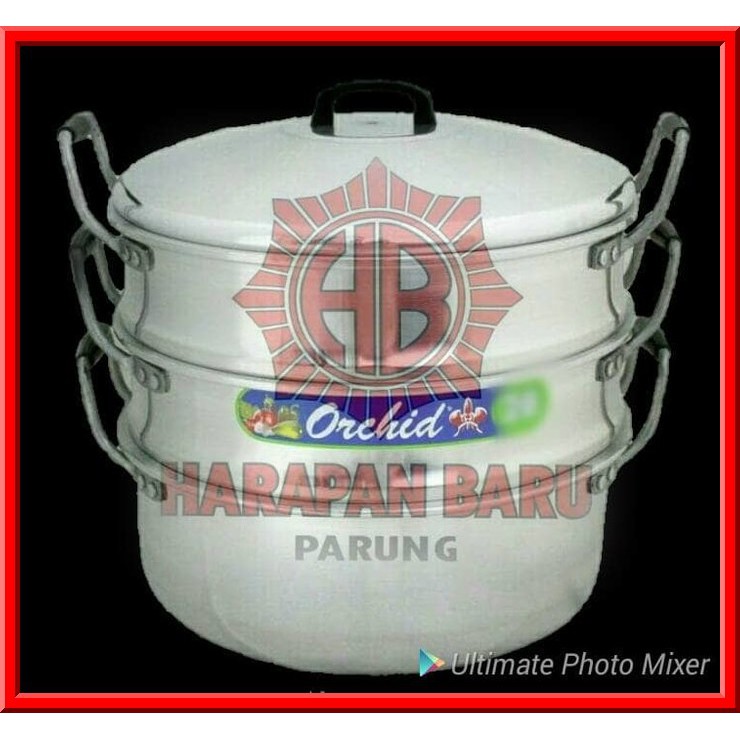 CUCI GUDANG - PANCI KUKUSAN/KALAKAT ORCHID 30 CM - MAXIM PANCI MURAH
