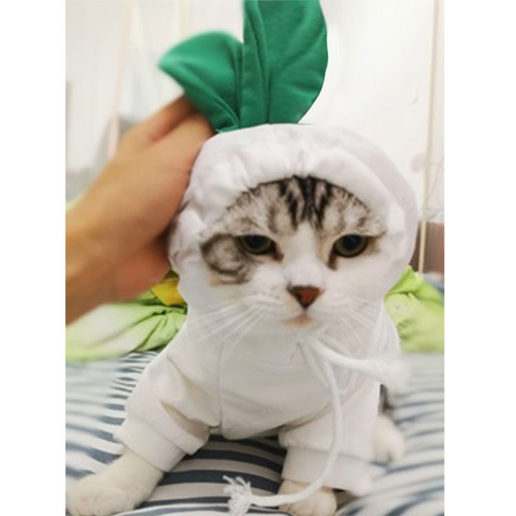 Pet Clothes Baju Hoodie Model Buah Dan Hewan Lucu Menggemaskan  Untuk Anjing Dan Kucing