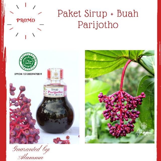 

PROMO| paket hemat sirup parijoto 250ml + buah parijotho | Parijoto