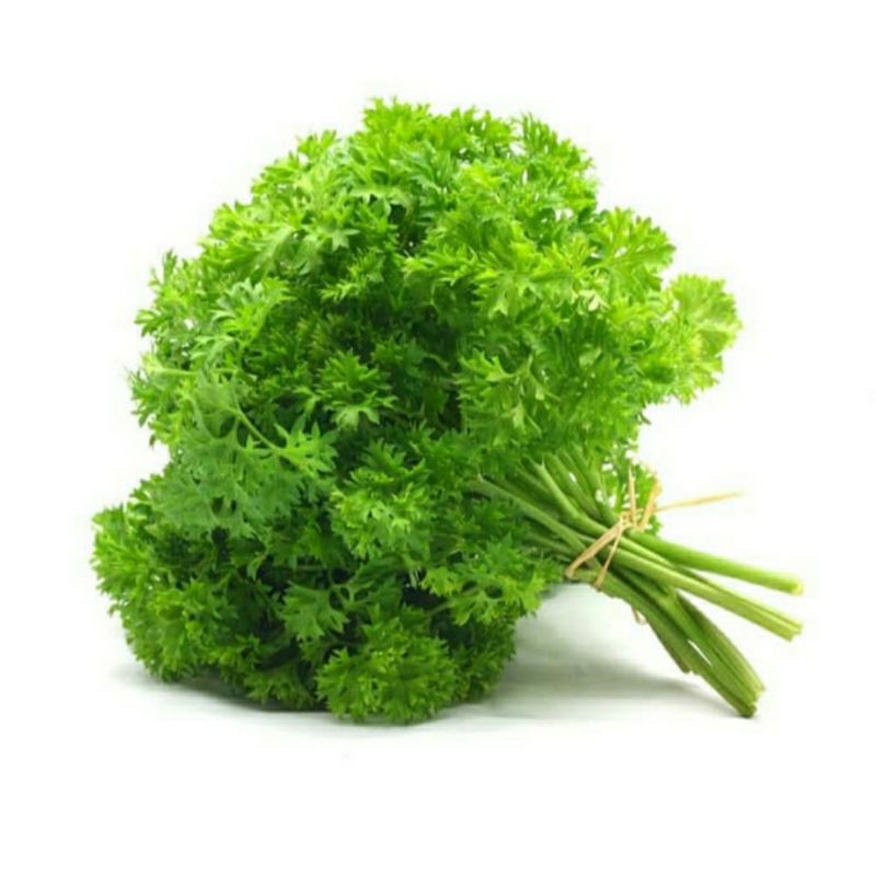 

Daun parsley / 1pc(50gram)