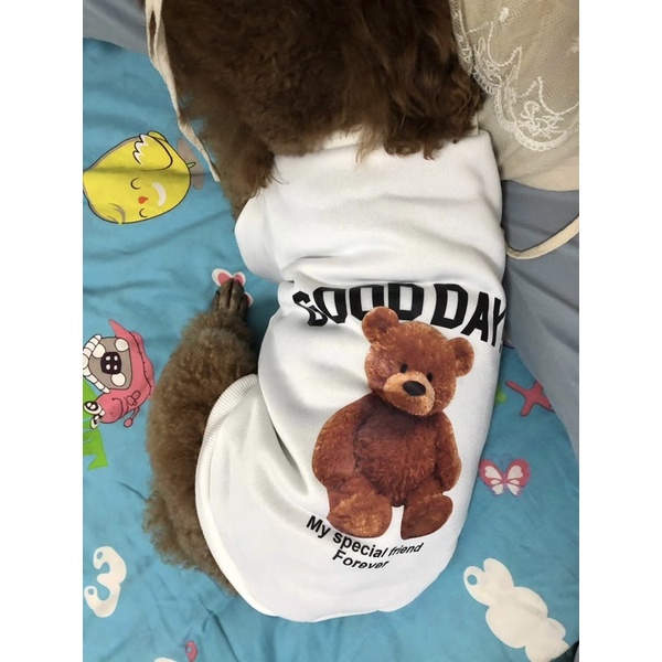 Tricolor Bear Dog Cat Pet T-Shirt Baju Anjing Kucing Lucu