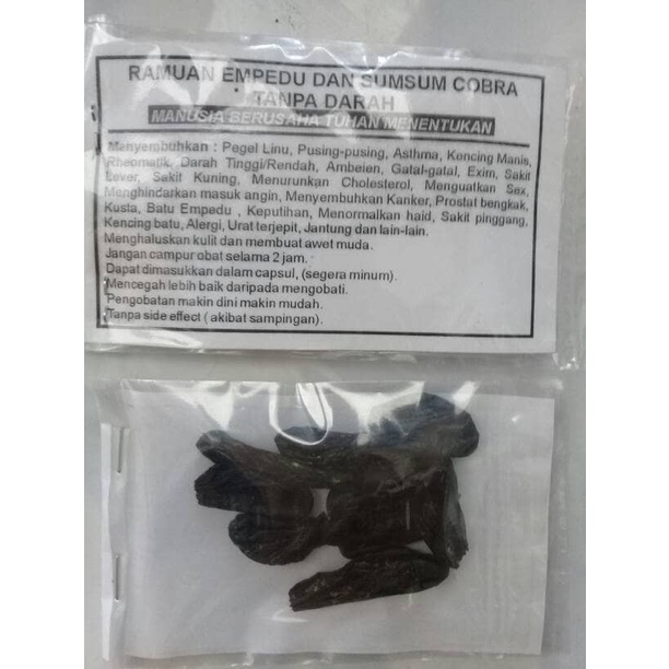 empedu ular cobra asli berkhasiat mengobati gatal dan berbagai penyakit dalam juga