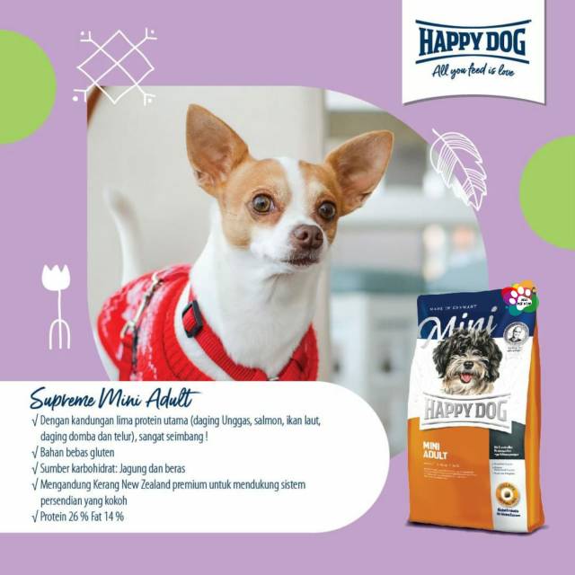 happy dog mini adult