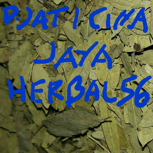 

Daun jati cina 250 gram 250grm 250 gr