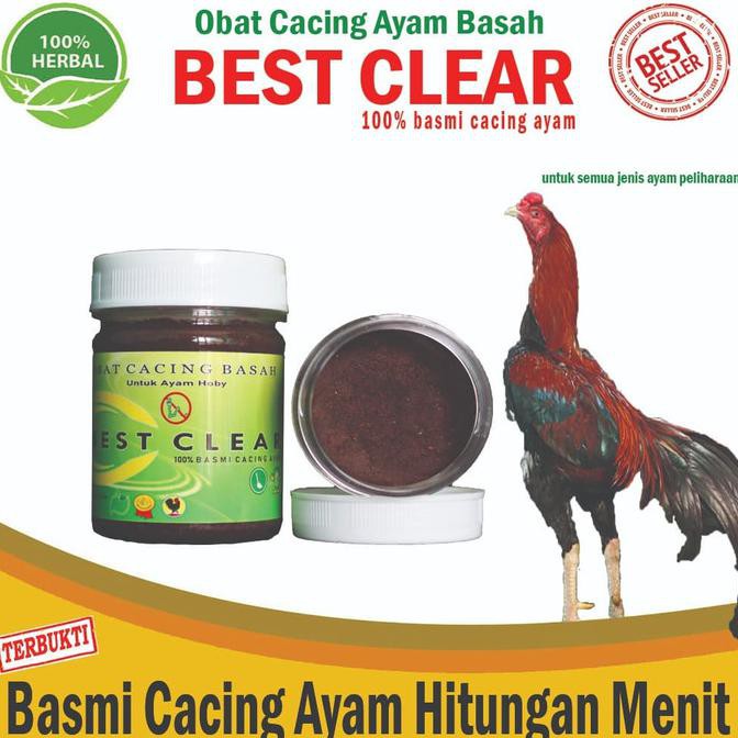 Obat Cacing Ayam Best Clear Paling Ampuh Shopee Indonesia