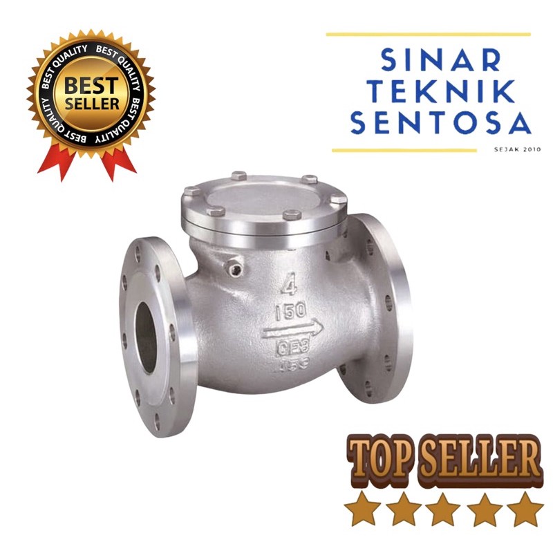 4" inch Swing check valve Cast iron JIS 10k