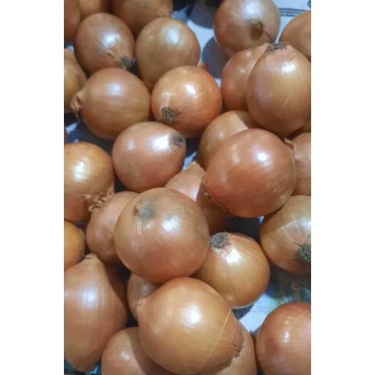 

bawang bombay segar 250gr