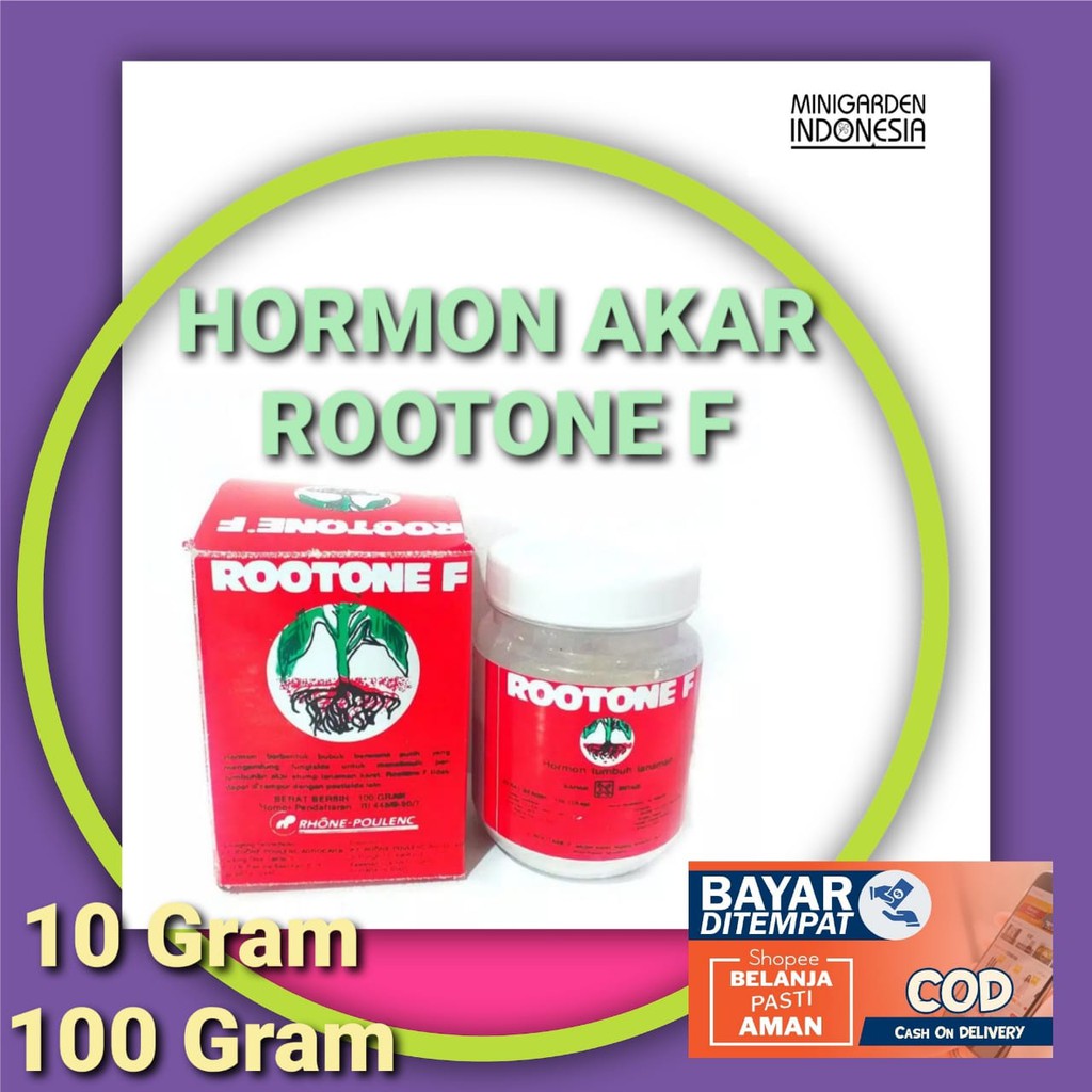 ROOTONE F 100 GRAM BOTOL ZPT hormon pertumbuhan akar stek pupuk anggrek root up perangsang akar cangkok