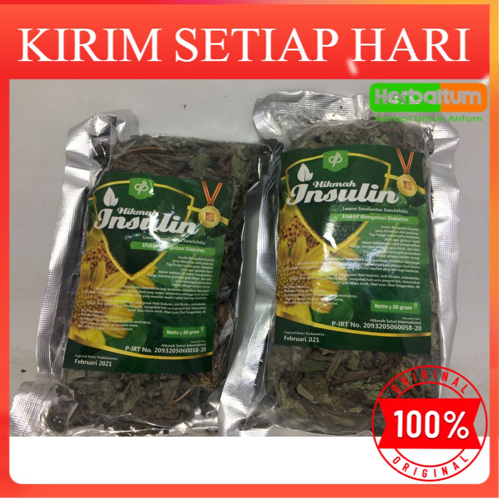 

DAUN INSULIN ASLI / DAUN HERBAL INSULIN / DAUN INSULIN UNTUK DIABETES
