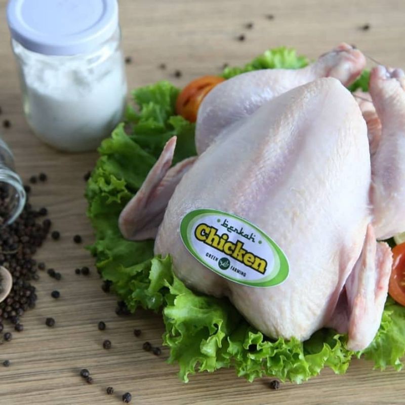 

Ayam ekoran utuh, berkah chicken, ayam organik ayam probiotik