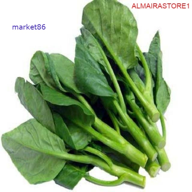 

Grosir Sayuran Segar Sayur FRESH Baby Kailan 250 Gram murah - Market86