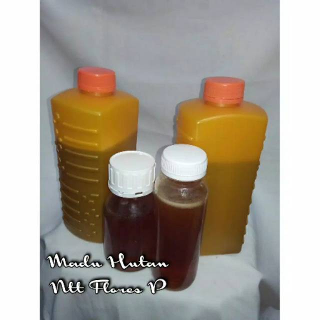 

Madu hutan NTT flores p (1kg)