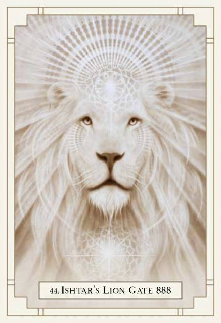 White Light Oracle