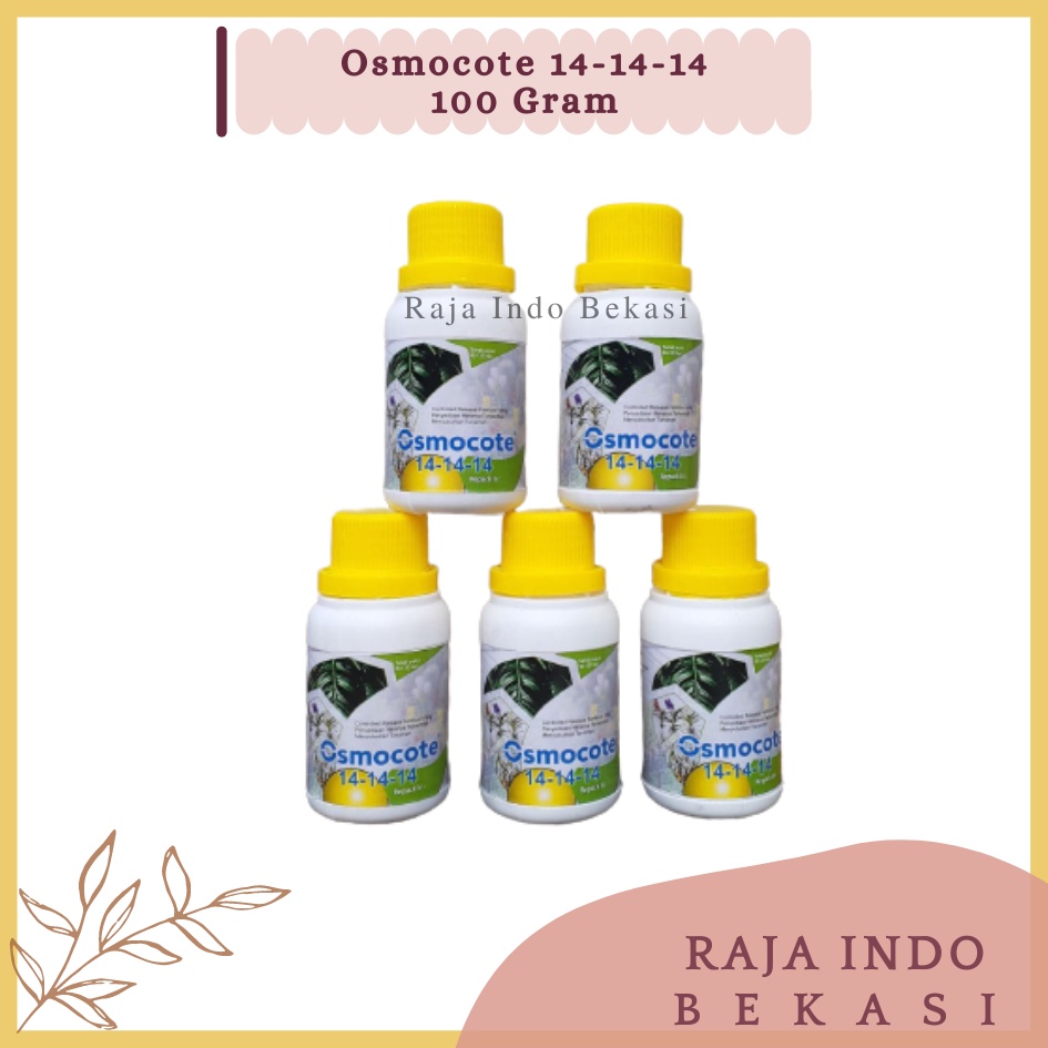 RAJAINDOBEKASI ORI Dekastar Osmocote 14-14-14 Pupuk Slow Release Pertumbuhan Daun Seimbang Osmocote 141414 Bukan Dekastar 17-11-10 Dekastar 6-13-25 Dekastar 13-13-13 100 Gram