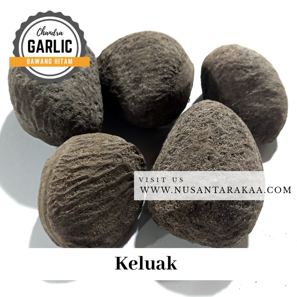 

Termurah Keluak / kepayang / pucung / kluwak 1 kg