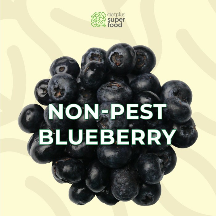 Blueberry Non-Pest Manis Segar 200 gr / 0.20 Kg Dietplus Superfood