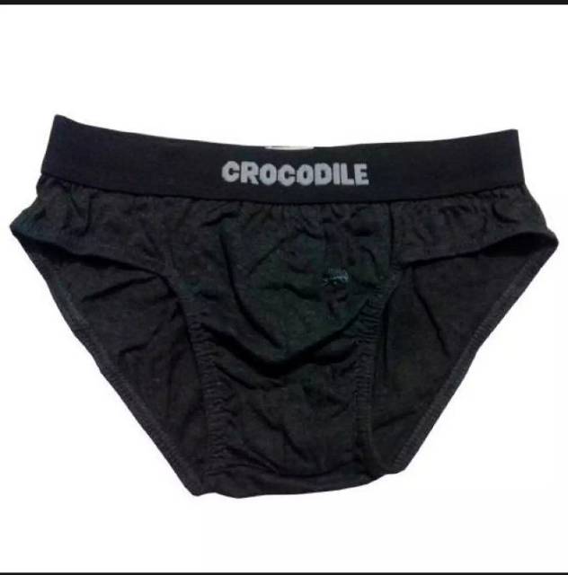 Crocodile - 2pcs celana dalam pria crocodile coklat segitiga karet boxer