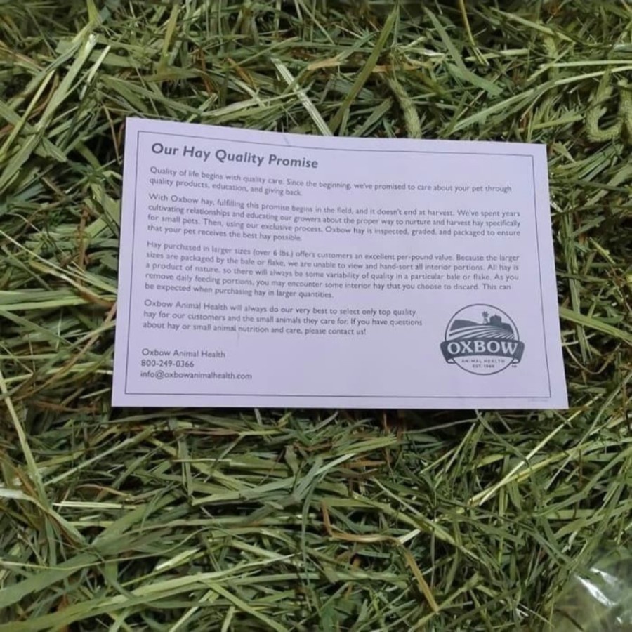 Oxbow Western Timothy Hay Repack 1 KG Rumput Kering Jerami Makanan Kelinci