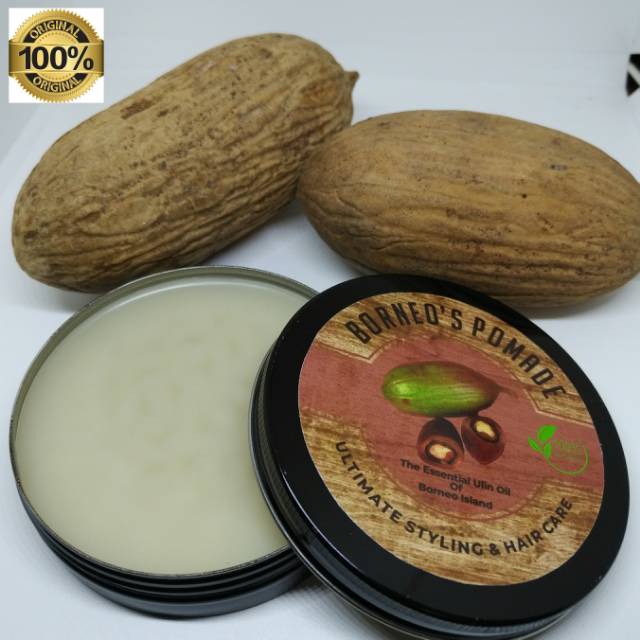 Pomade Minyak Rambut Buah Ulin Penumbuh Penyubur Penghitam Rambut Anti Uban