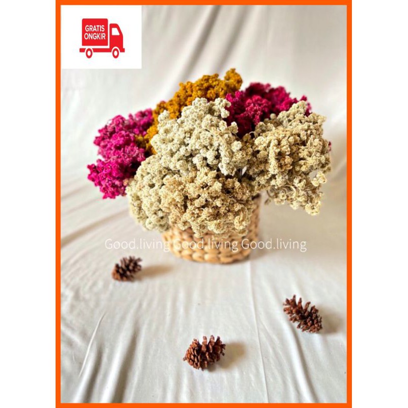 BUNGA KERING RISE FLOWER BUNGA DEKORASI WEDDING BUNGA KERING AESTHETIC BUNGA HIAS DEKORASI
